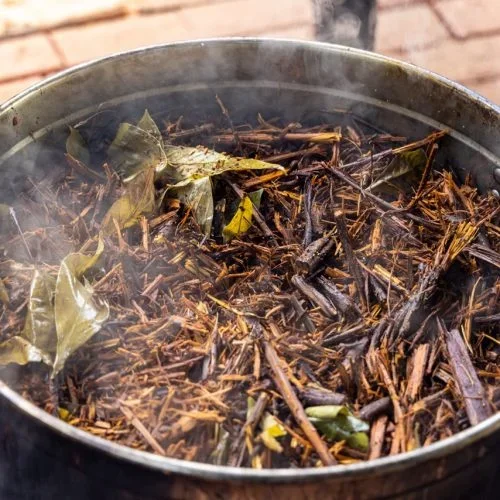 Ayahuasca — Ananda Lodge